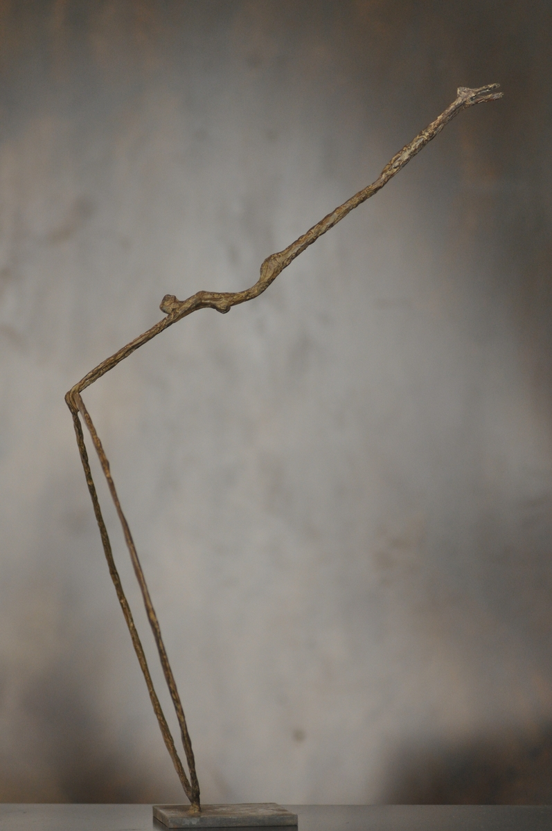 Cerceau
