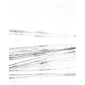 CARBON II 01