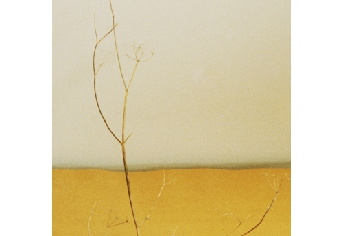 horizons 1