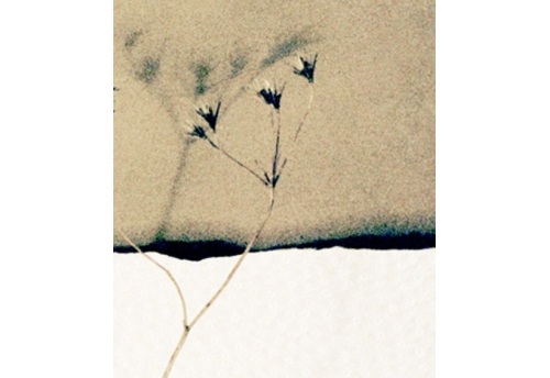 horizons 11
