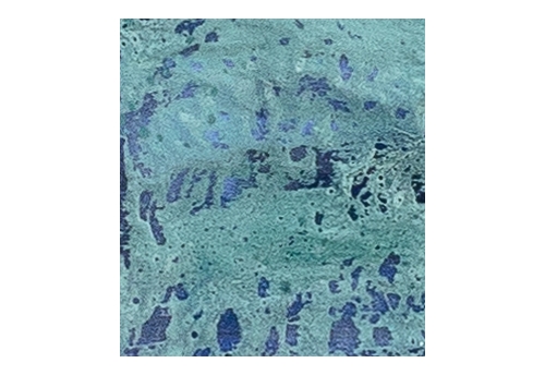 Série Fragments de mer, Véronèse