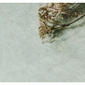horizons 12