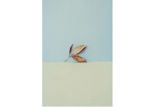 horizons 14