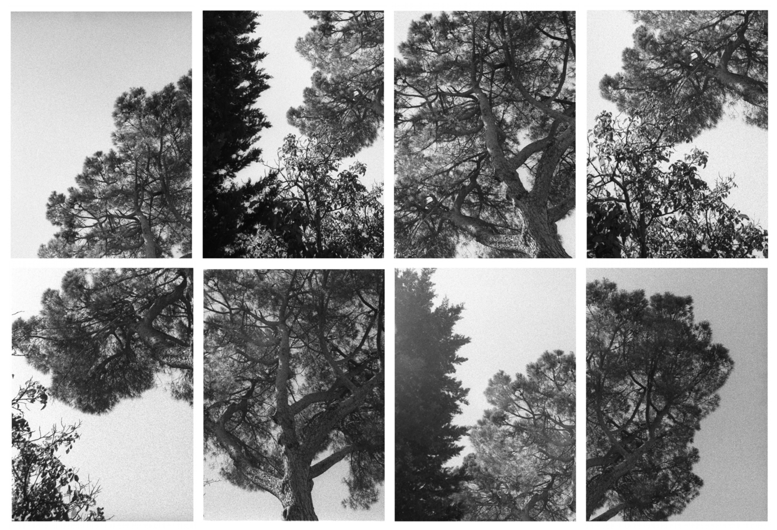 fragments 2a 