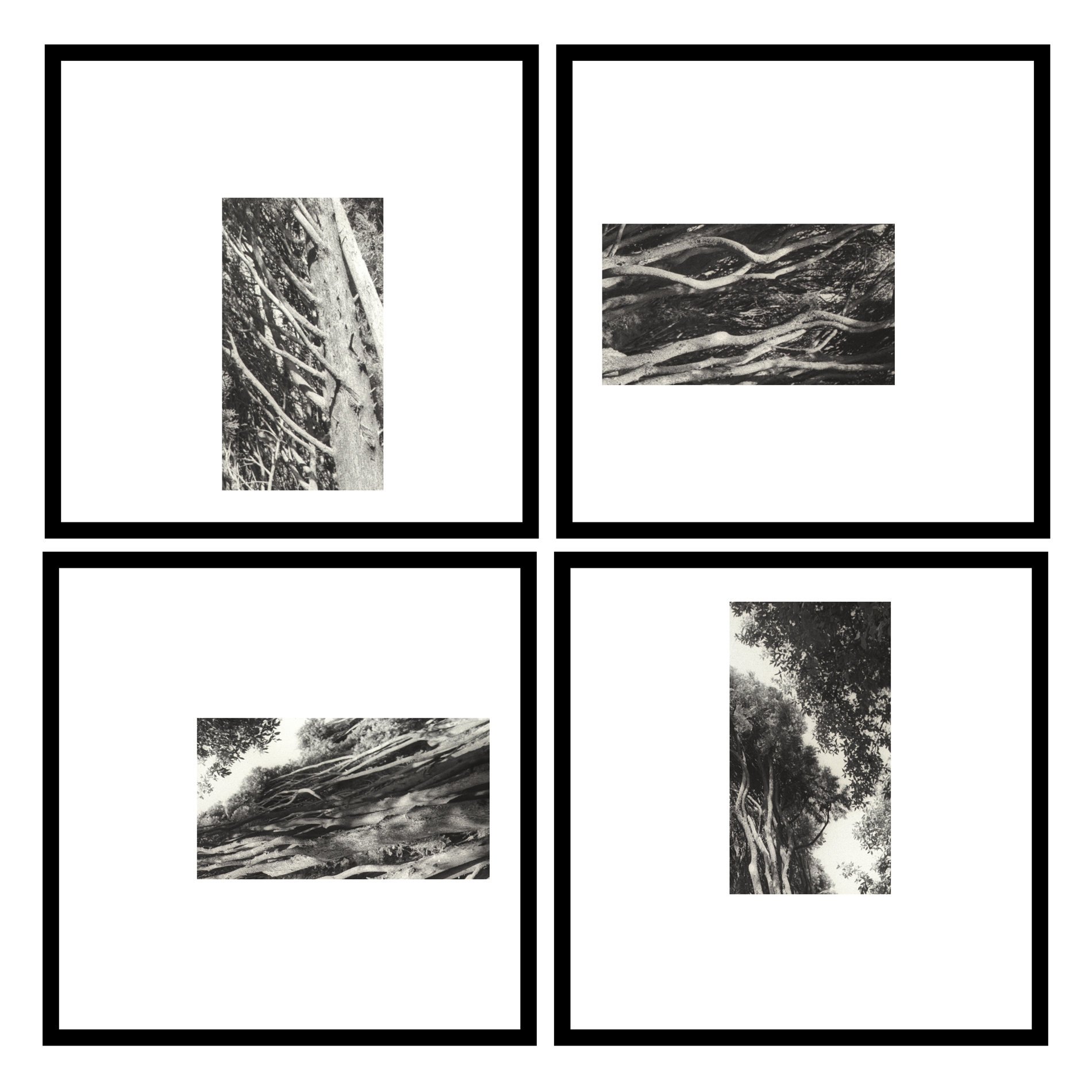 fragments 2a