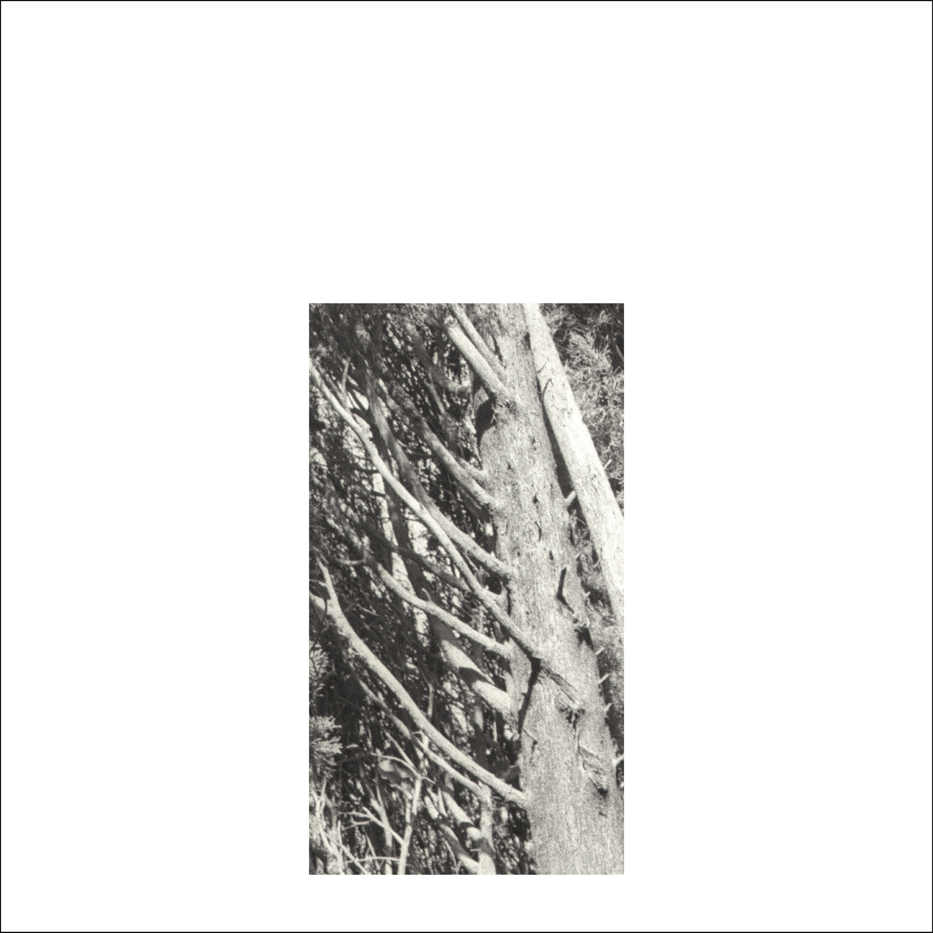 fragments 2a