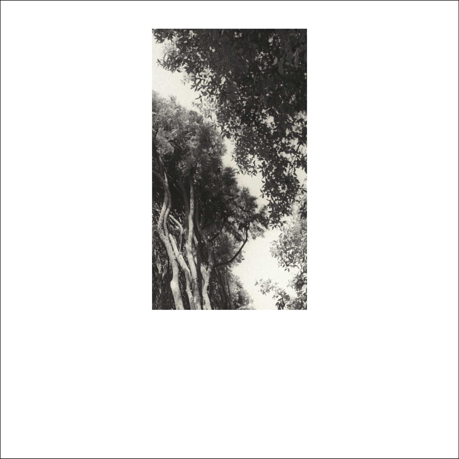 fragments 2a
