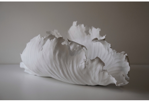 Coquille IV