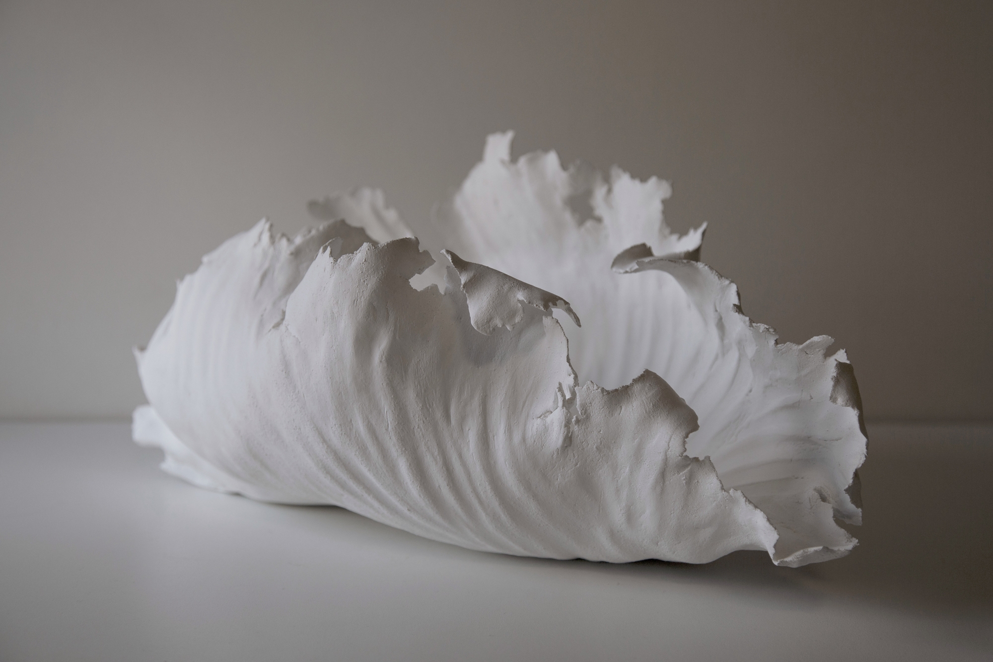 Coquille IV