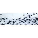 04015 Flight Zoom