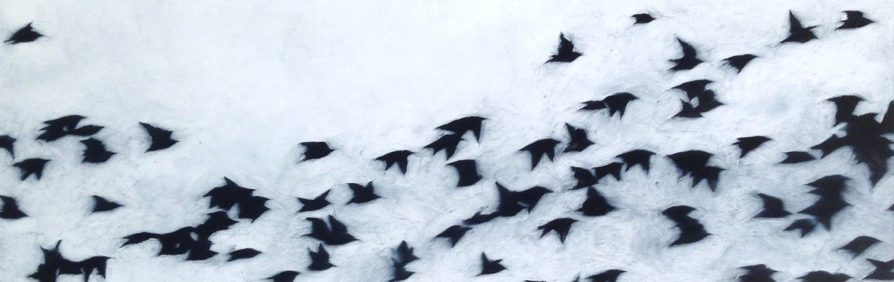 04015 Flight Zoom