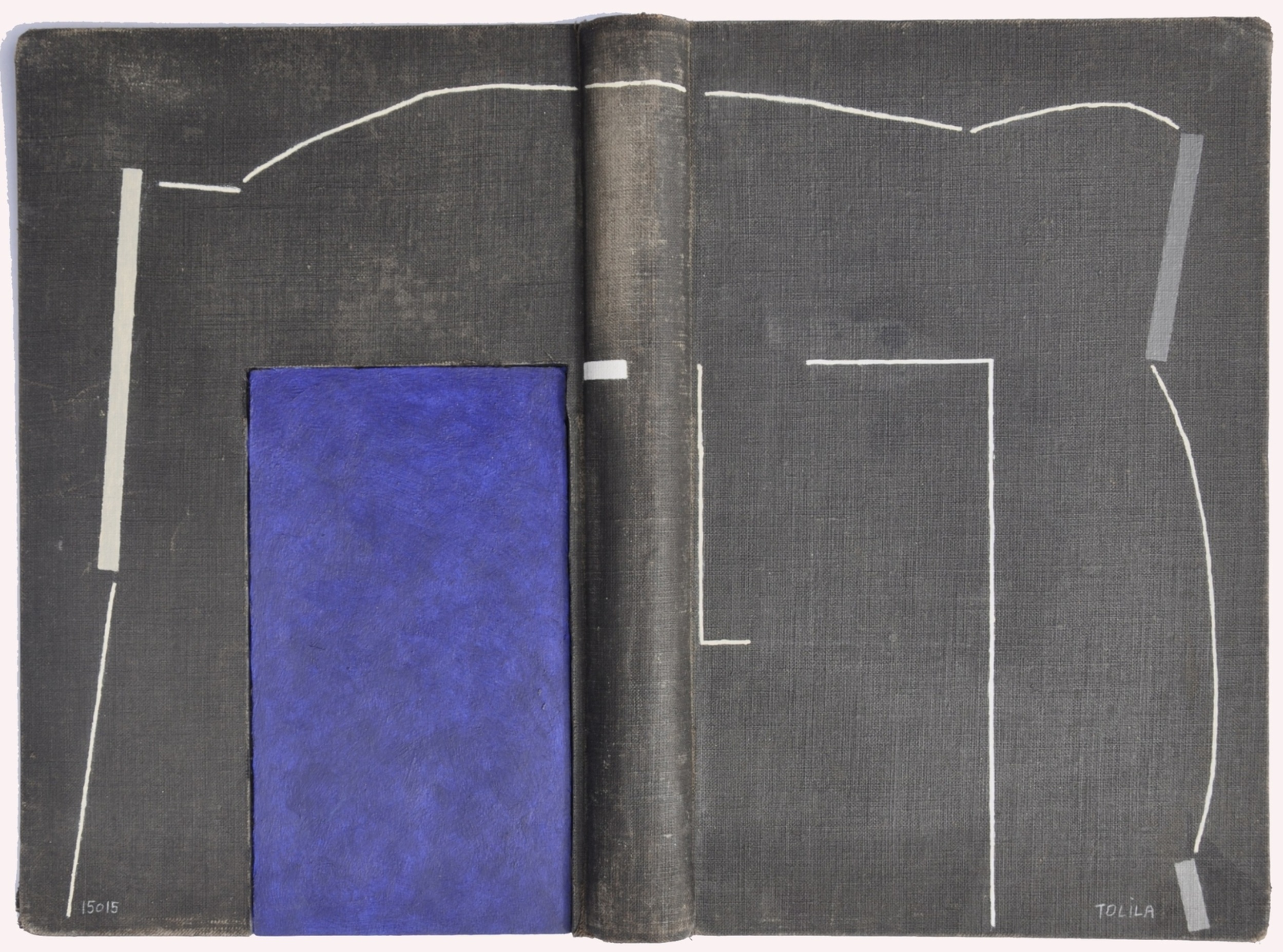 Livre ouvert - Noir et bleu nuit