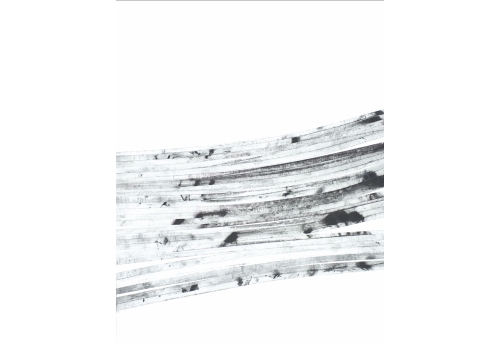 CARBON II 11