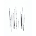 CARBON II 11