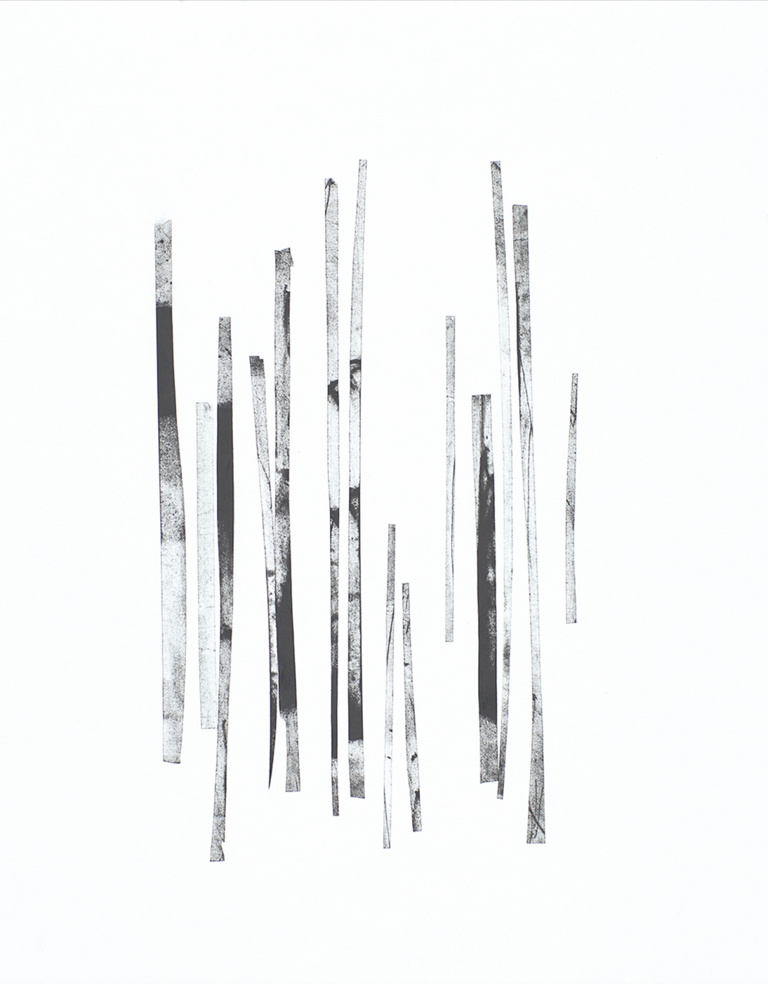 CARBON II 11