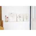 Cosmogonies C2 oeuvre de Fabienne Jousse sur Zeuxis