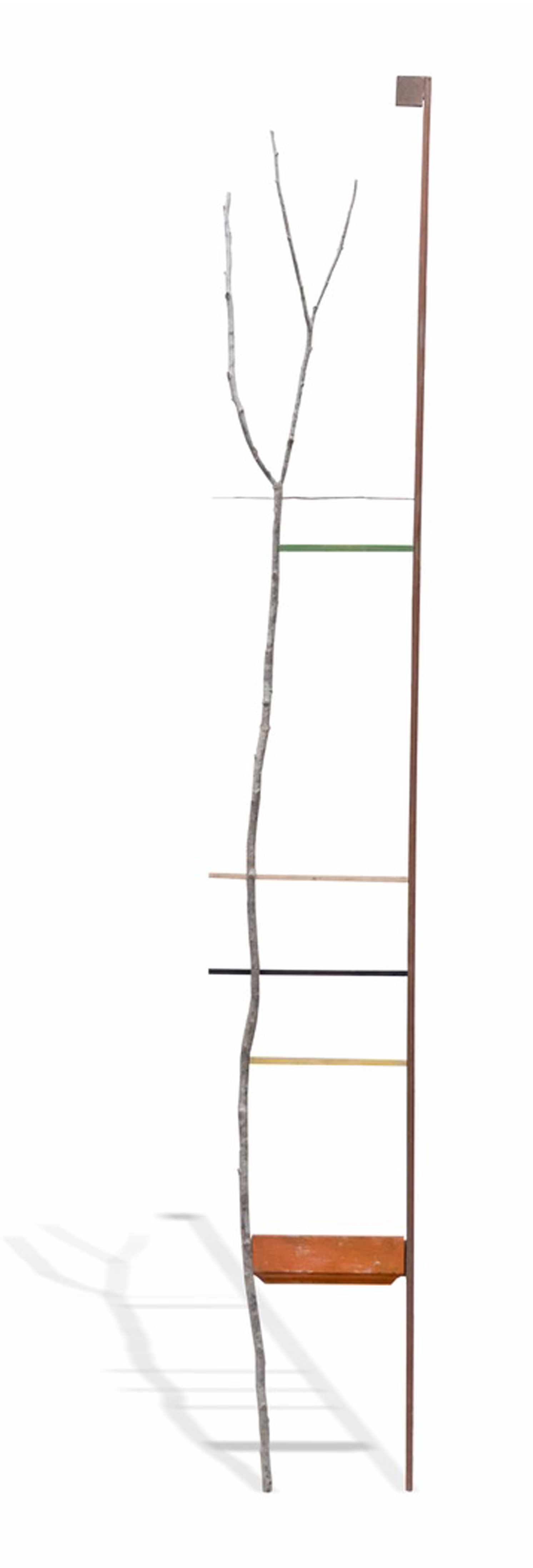 echelle 19
