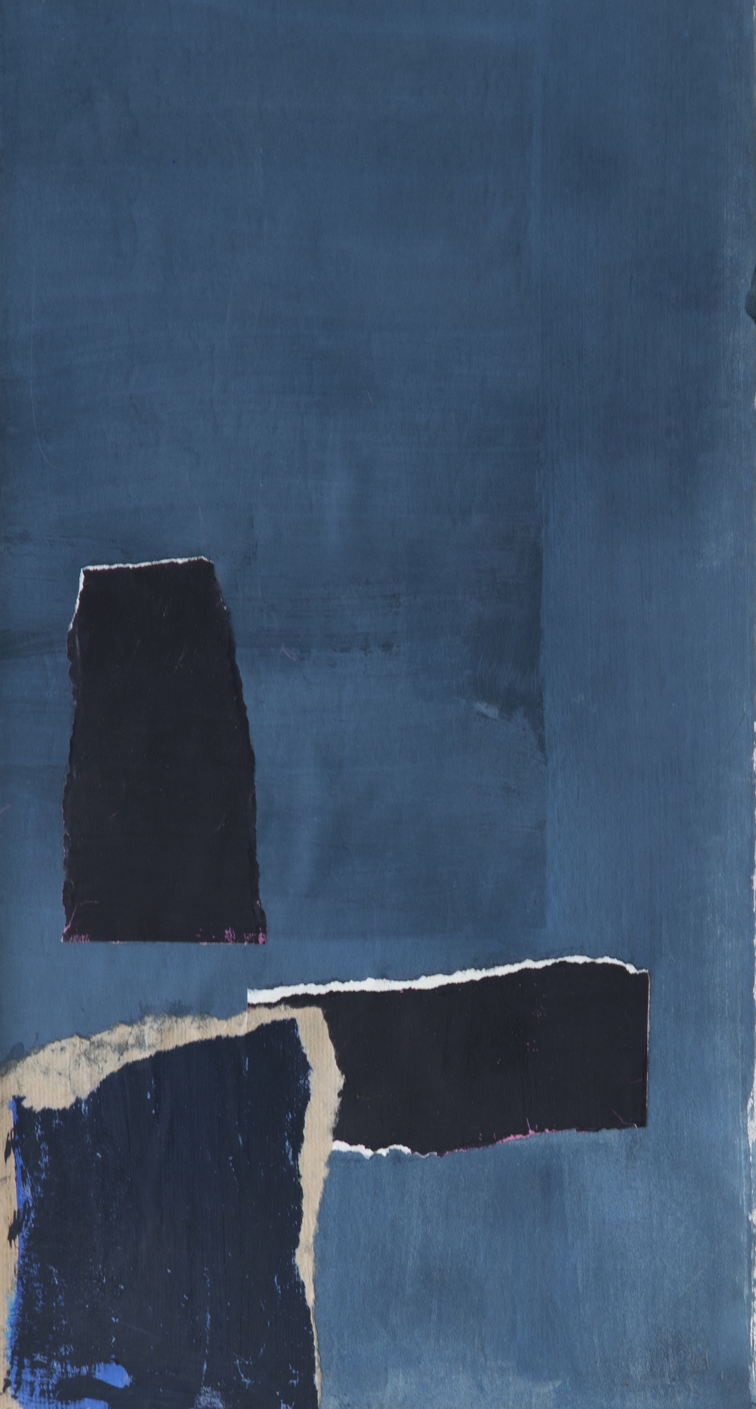 bleu-japonais-2