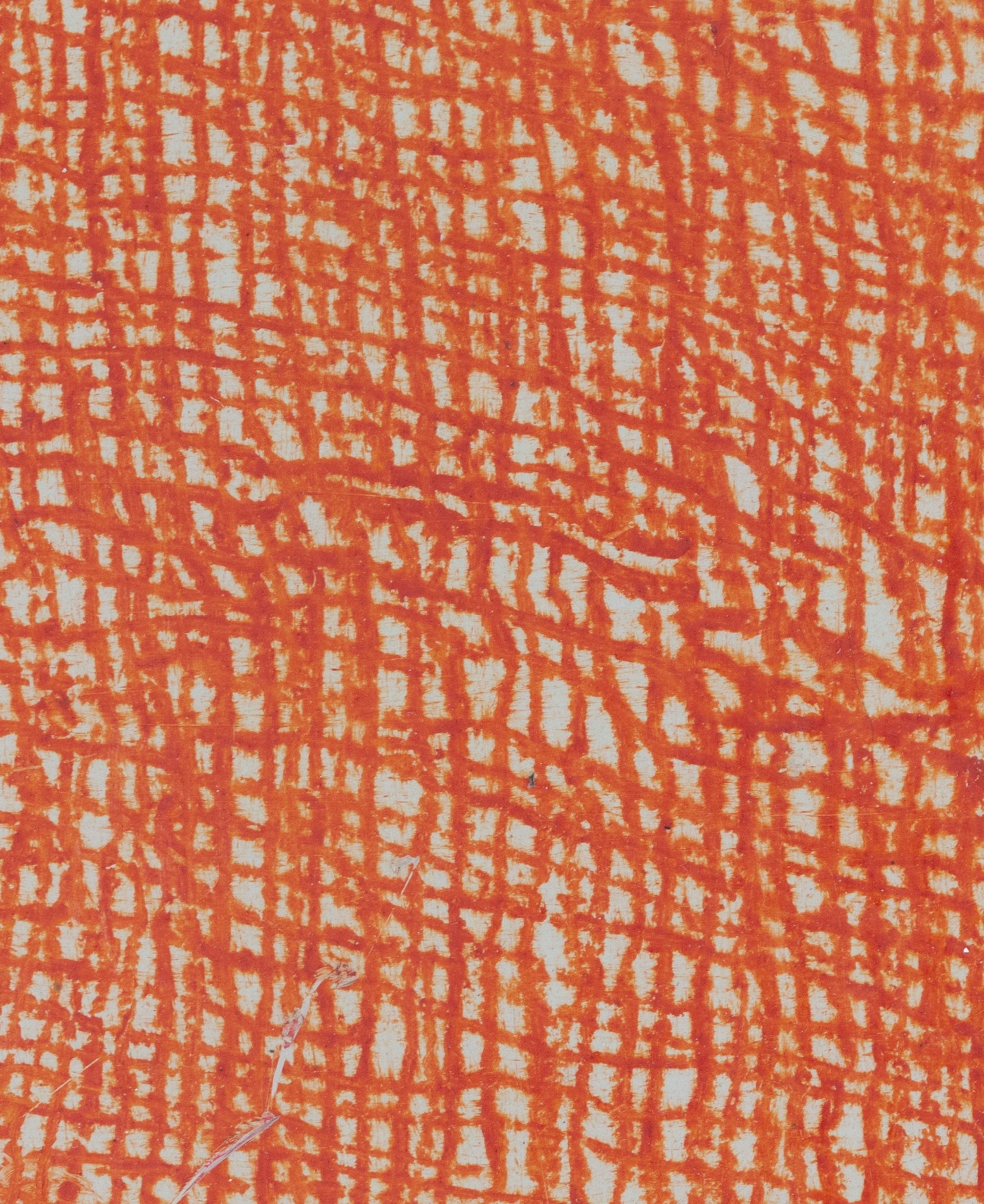 Petit Possible - orange 2