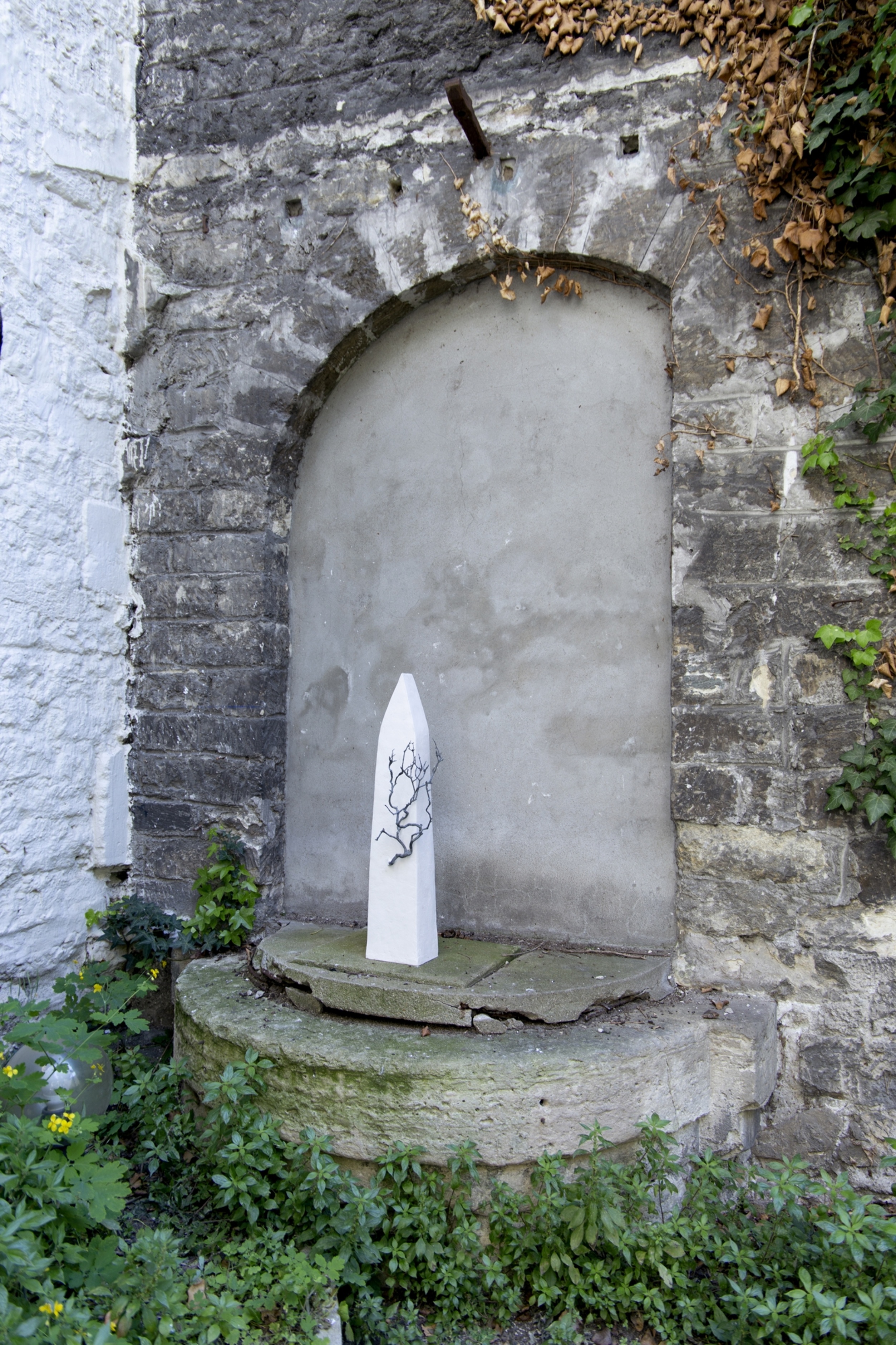 Maison arbre noire