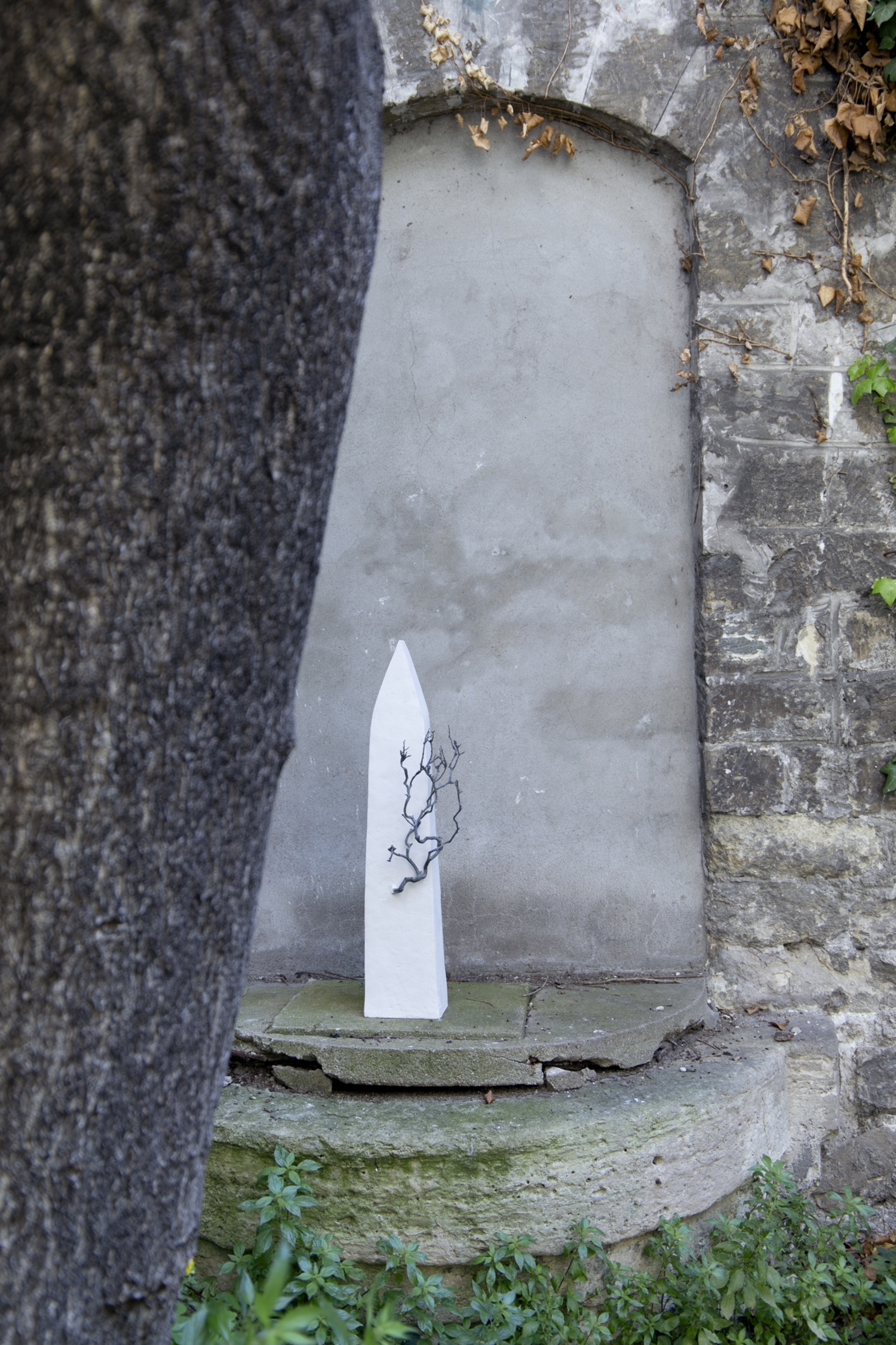 Maison arbre noire