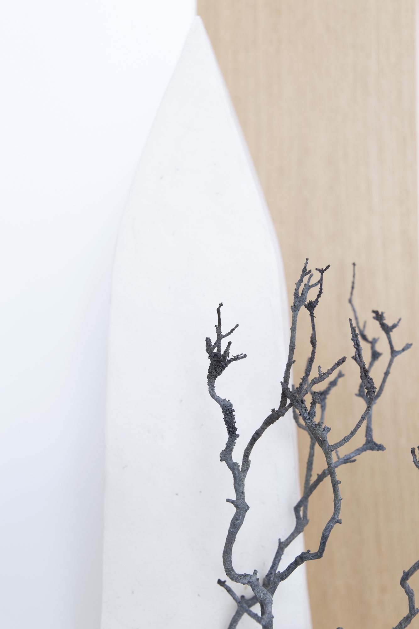 Maison arbre noire