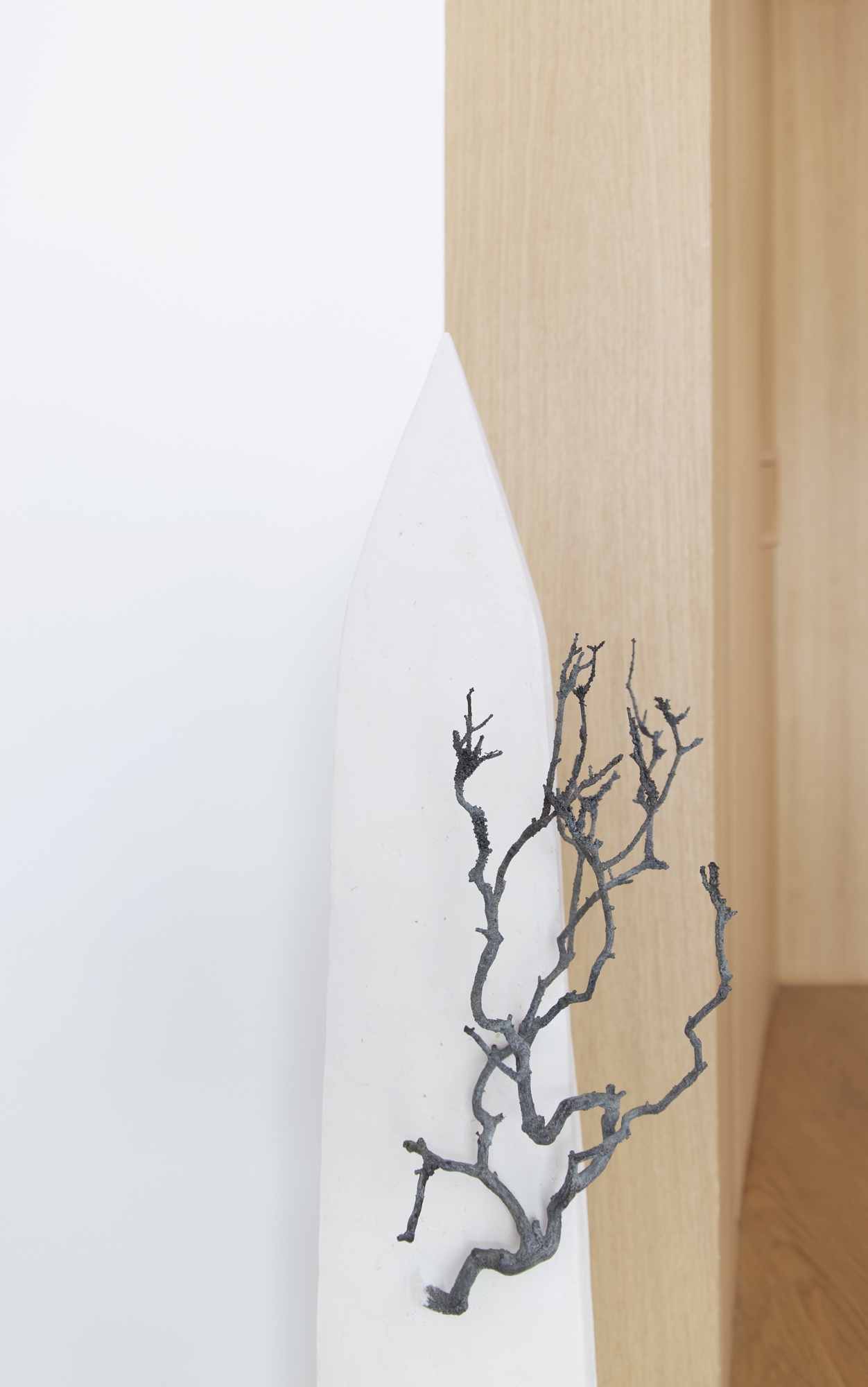Maison arbre noire
