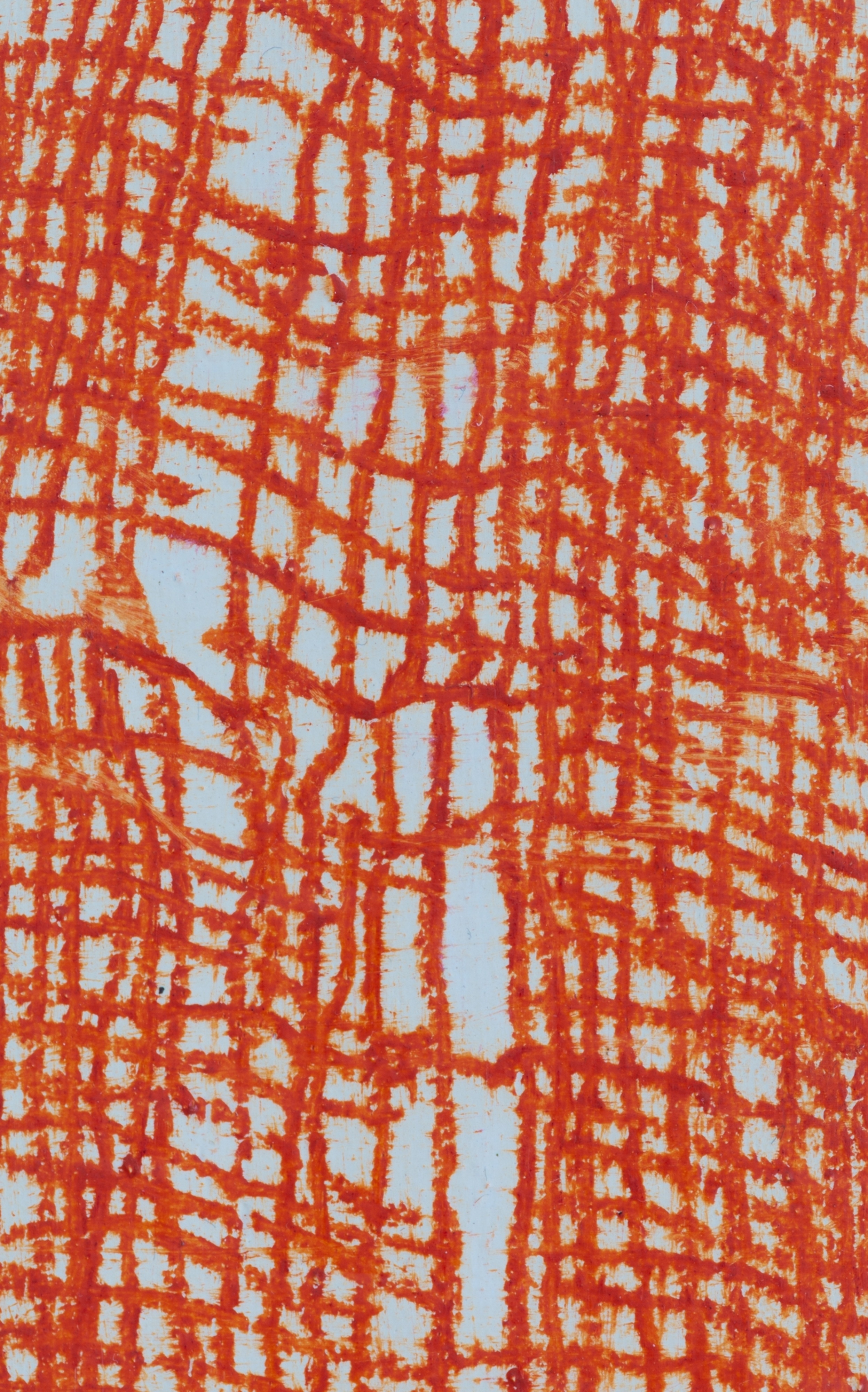 Petit Possible - rouge