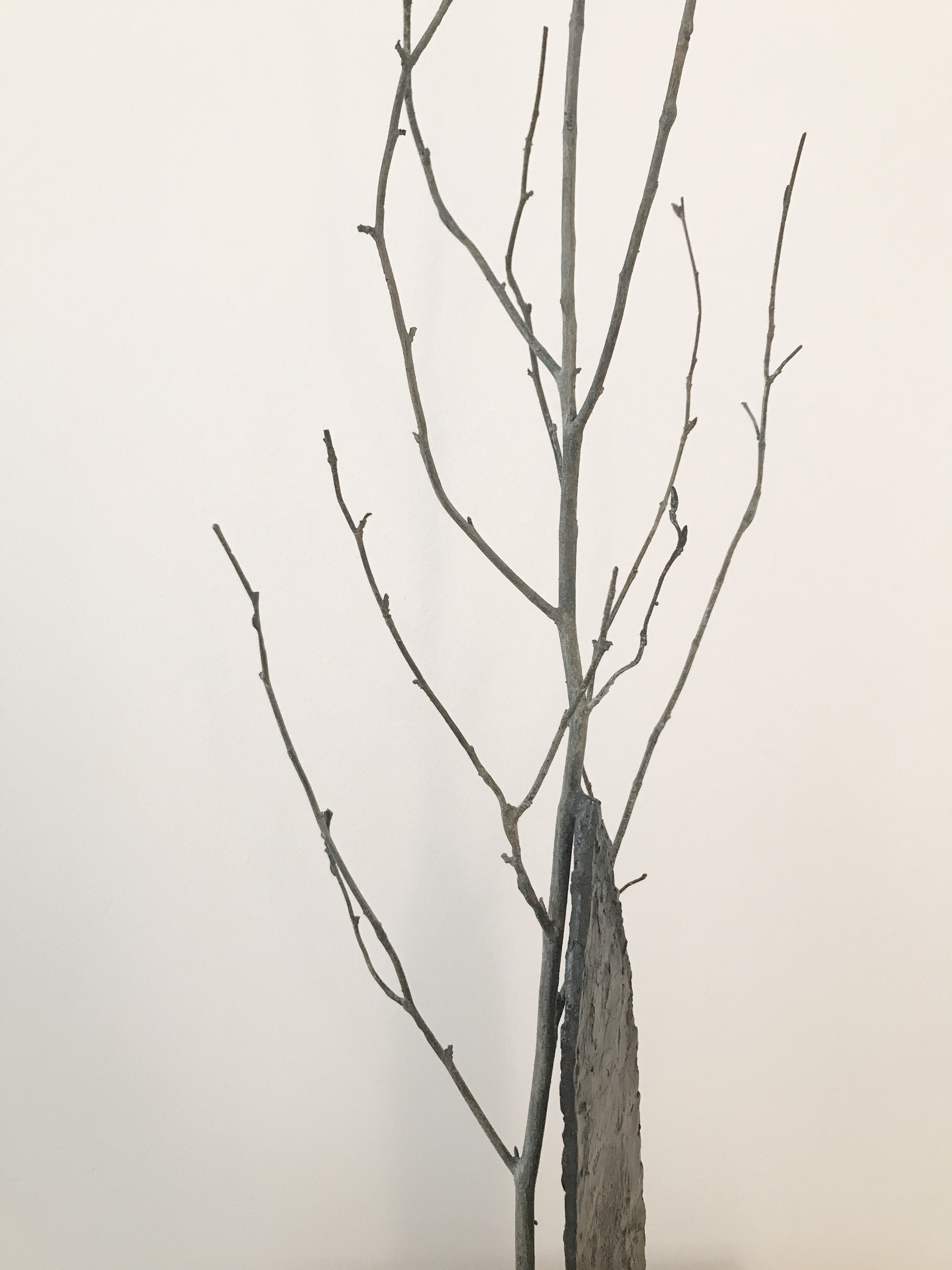 Bronze maison arbre
