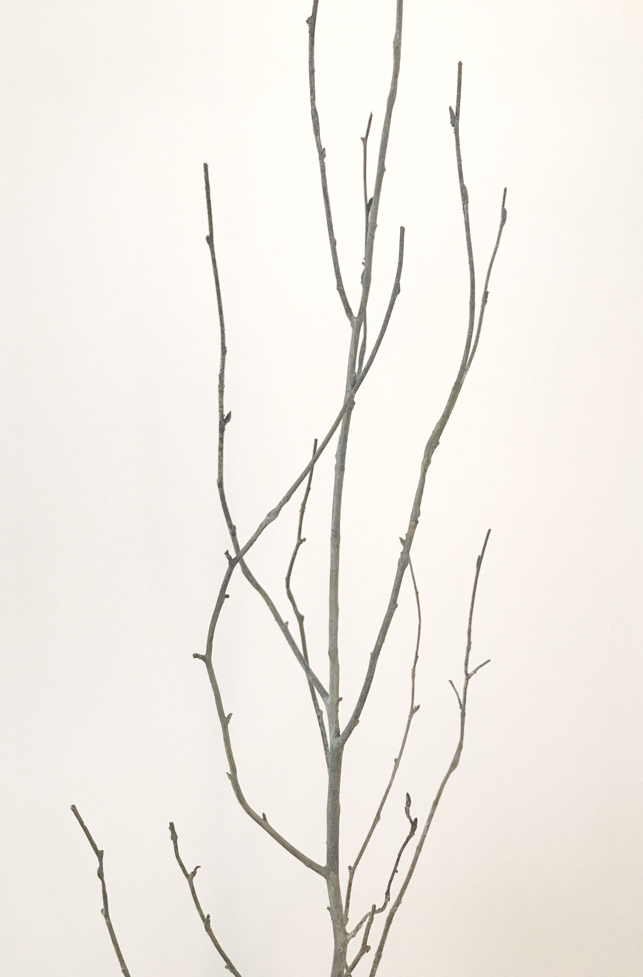 Bronze maison arbre