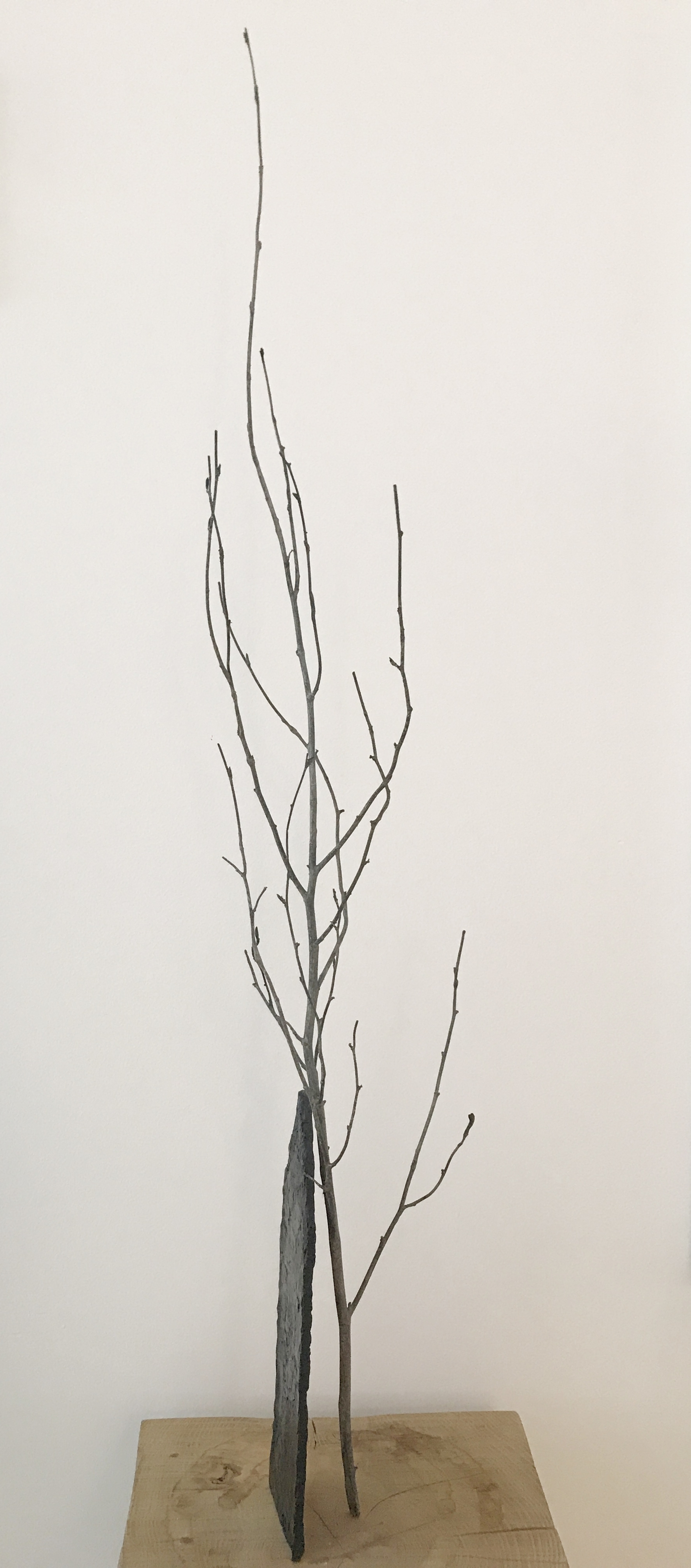 Bronze maison arbre