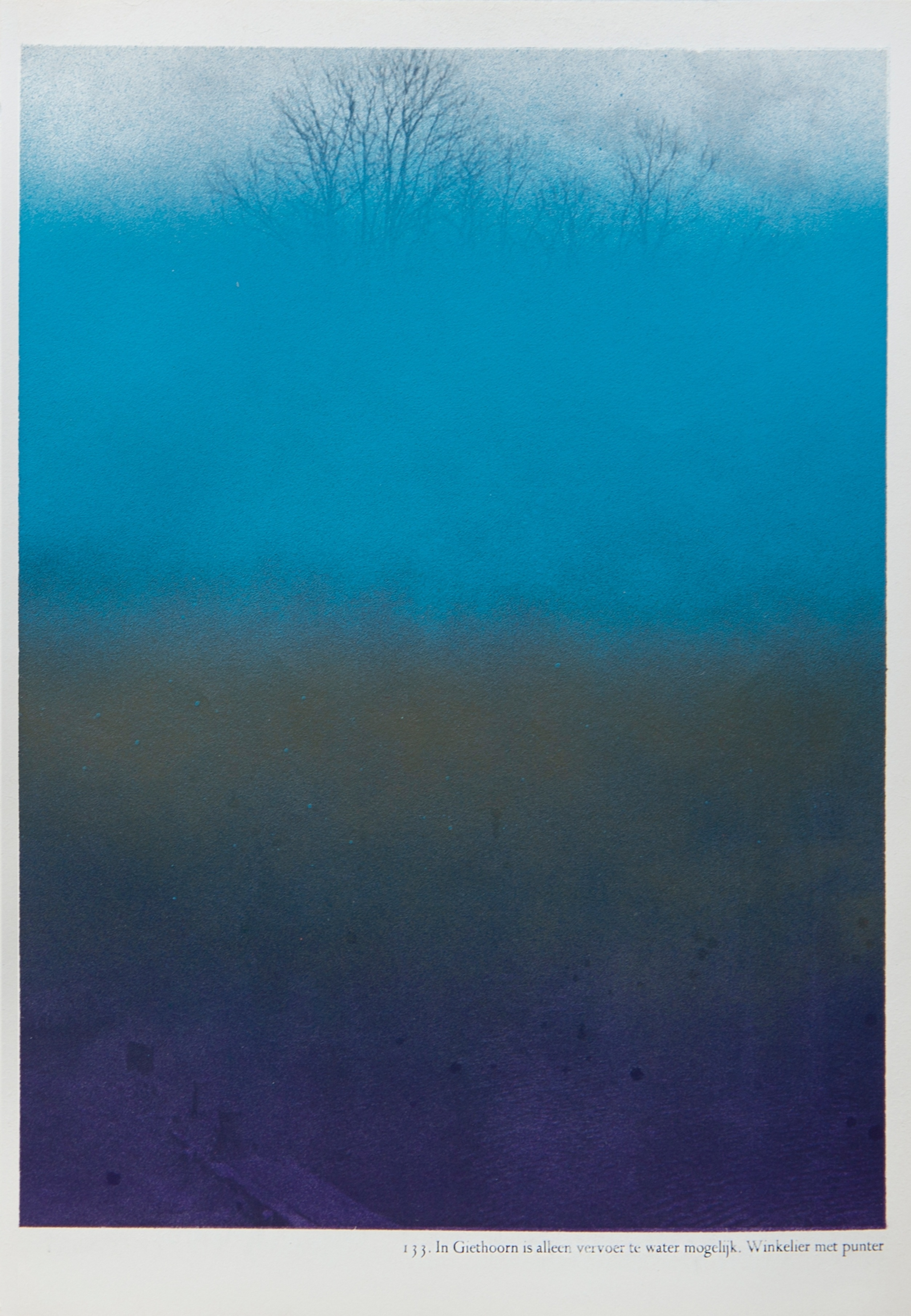 Venus Series 8