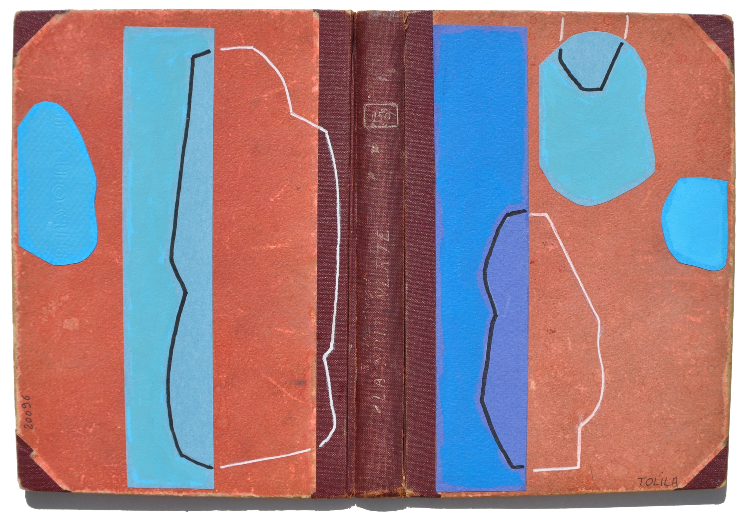 Livre ouvert 20096