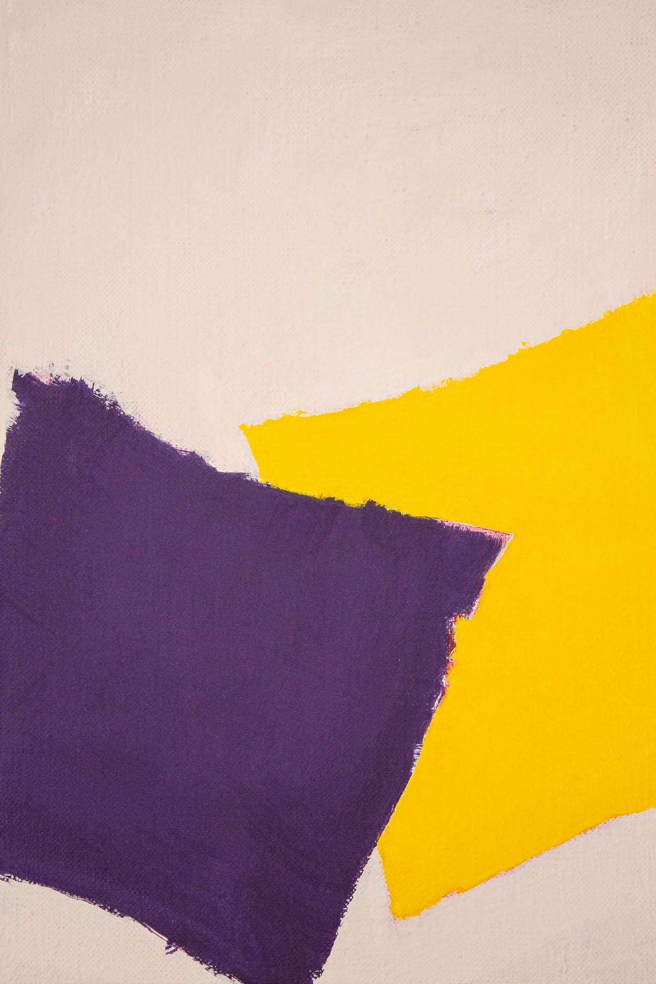 Purple and Yellow