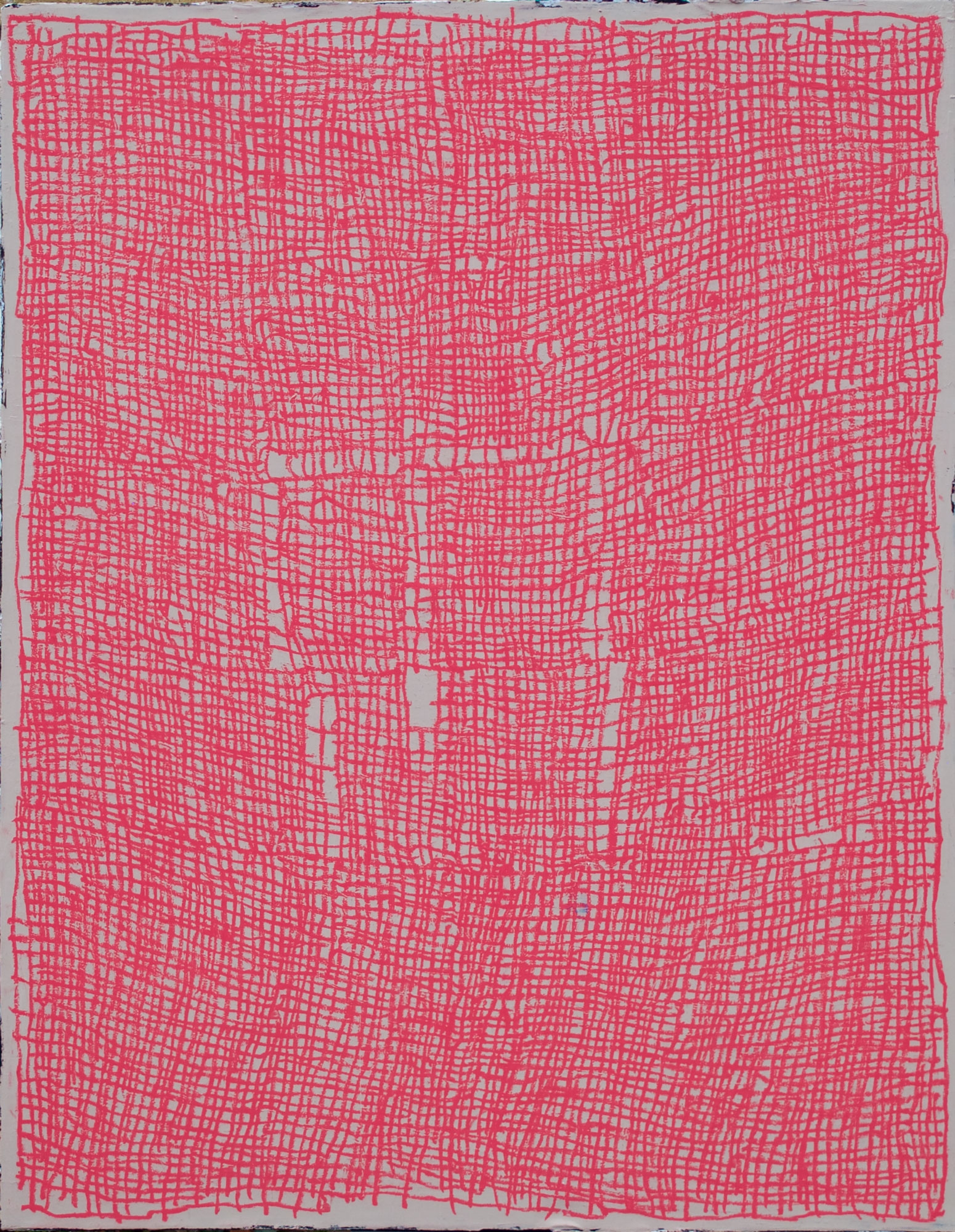 Possible Rose Geranium 