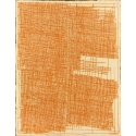 Possible Orange de Chine II