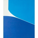 Blue Dual 2