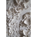 Forêt blanche