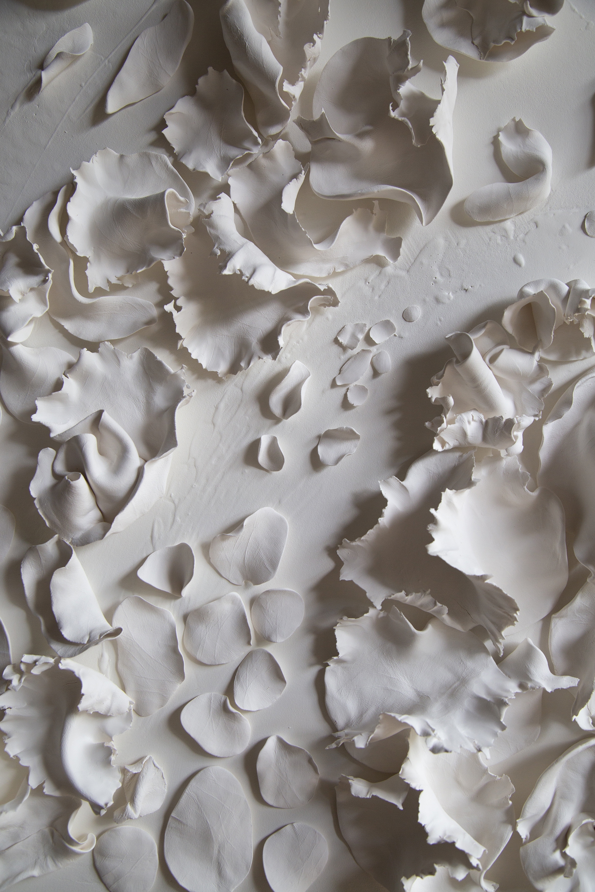Forêt blanche