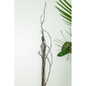 L'Homme Arbre