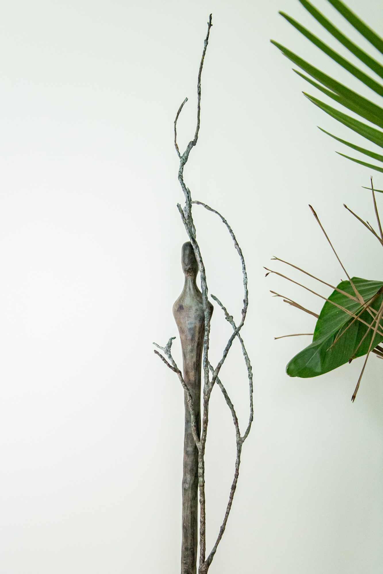 L'Homme Arbre