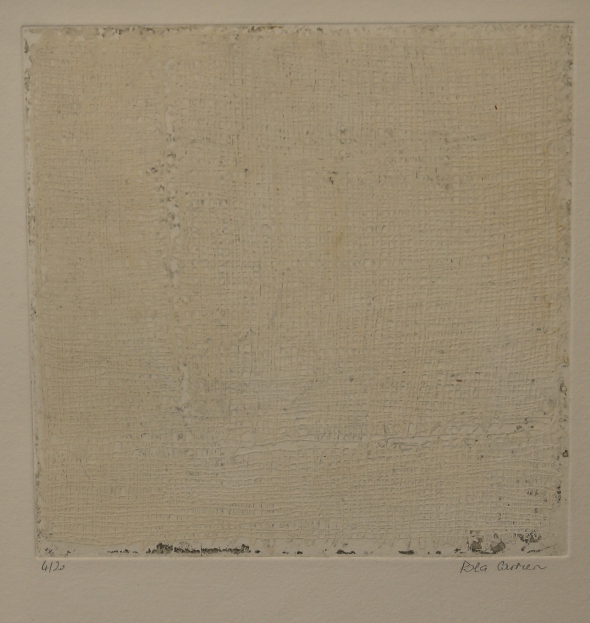 Petit possible blanc