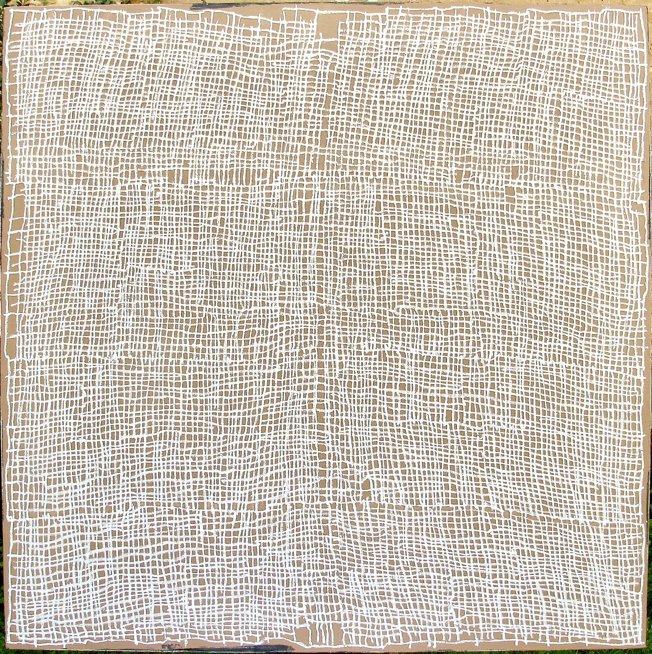 Grand possible blanc sur sienne brûlée