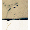 horizons 10