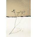 horizons 10