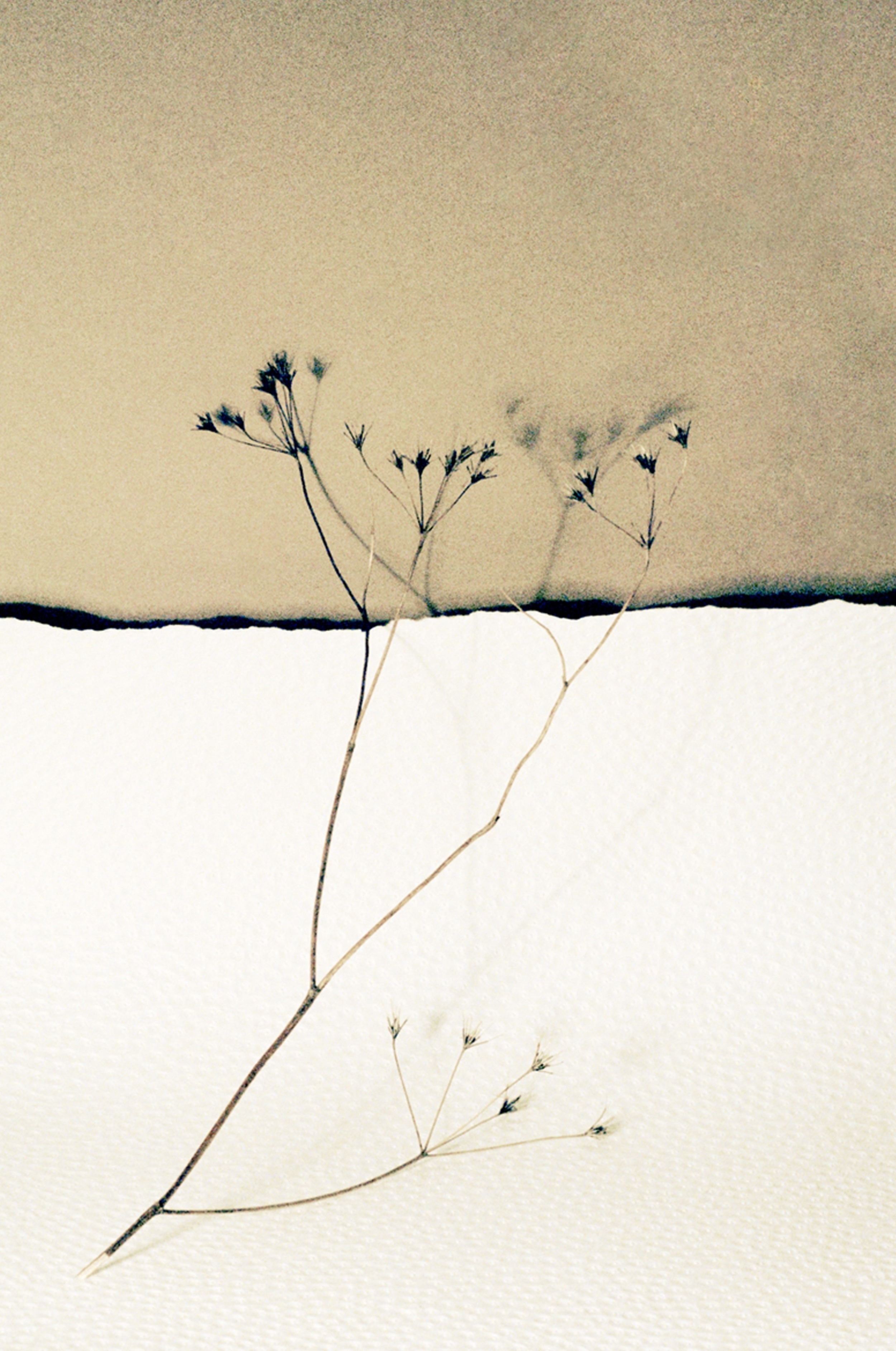 horizons 10