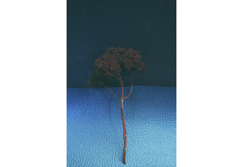 horizons 1