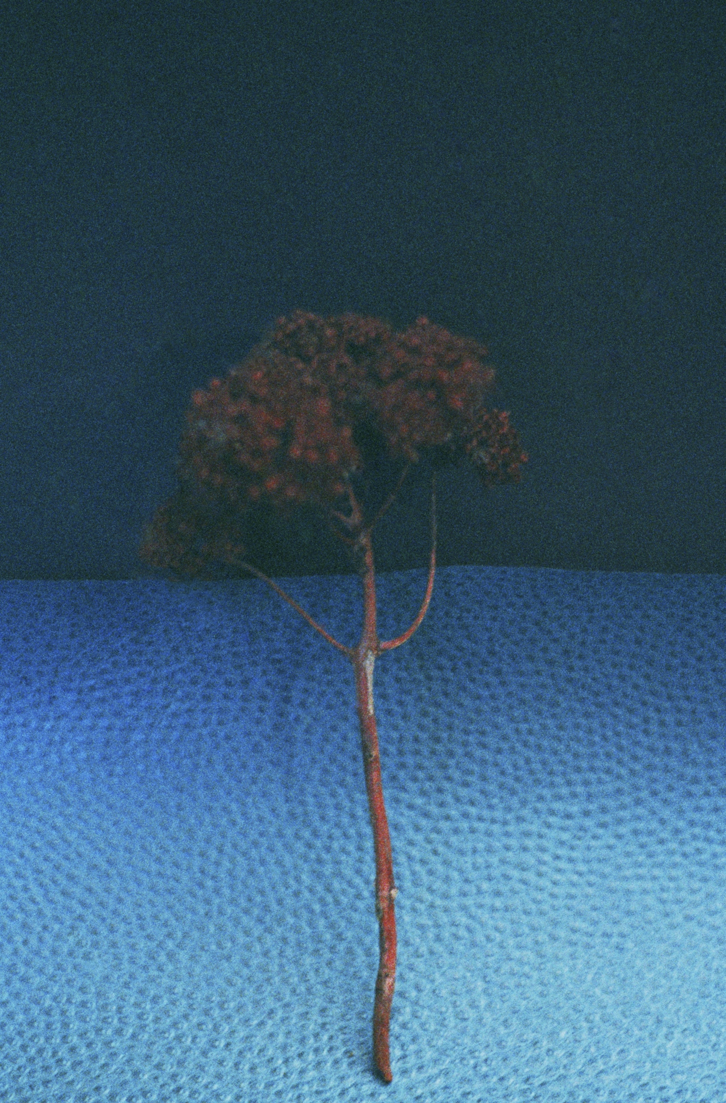 horizons 1