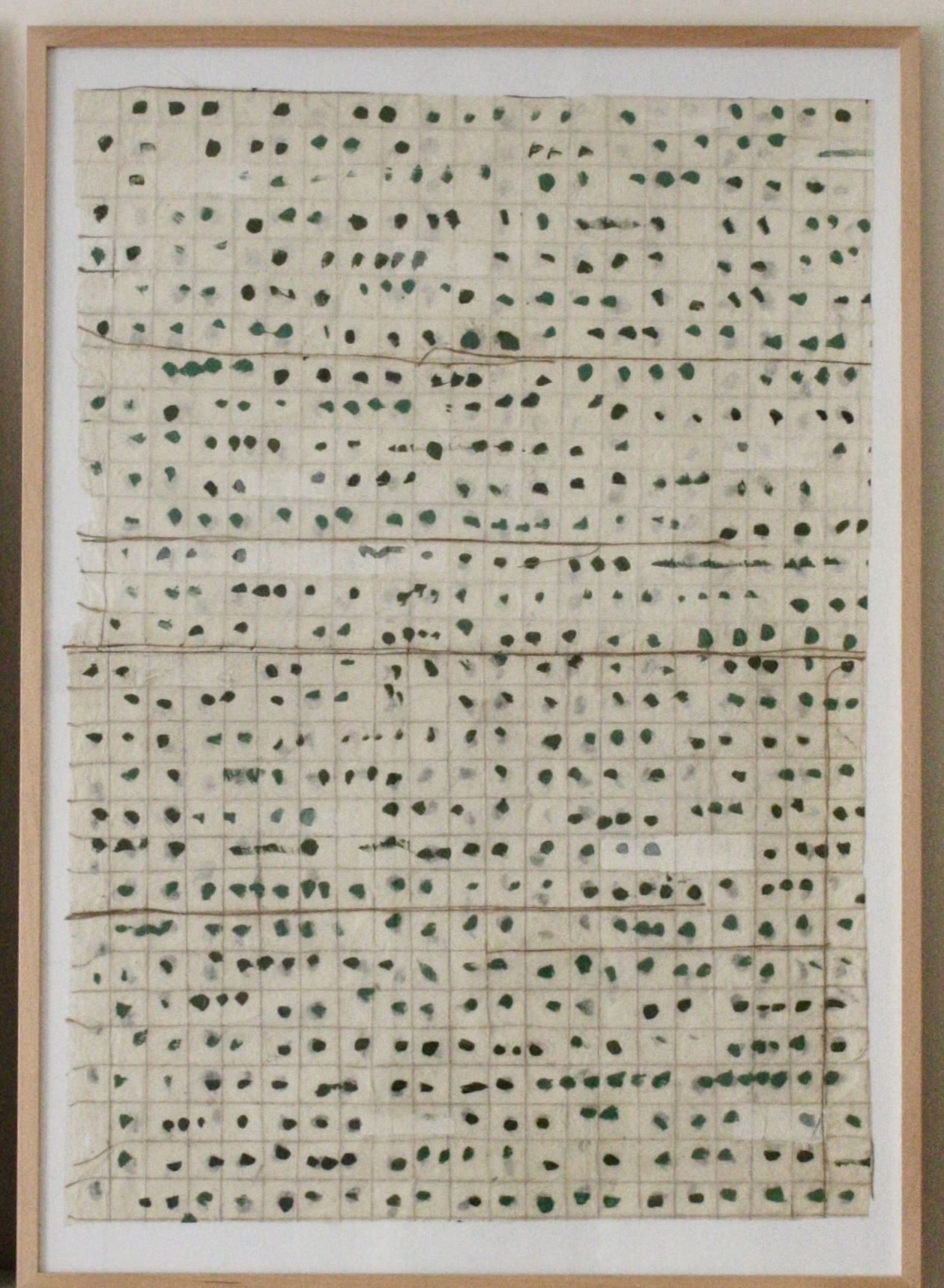 Lokta vert et blanc