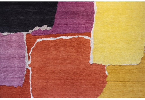 Rhizomes 1 Colourful Horizontal